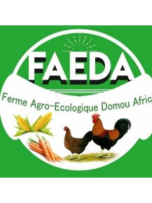 Ababacar Samb, Faeda