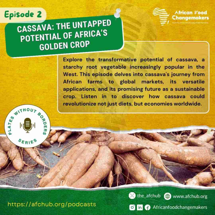 Cassava: The Untapped Potential of Africa's Golden Crop